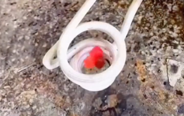 懸磁浮實驗是一種基于磁懸浮技術(shù)和高頻加熱原理的實驗